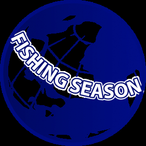 Воблер Tsuribito Deep Chok Long 80F col.H-208R Chart Silver Orange Belly